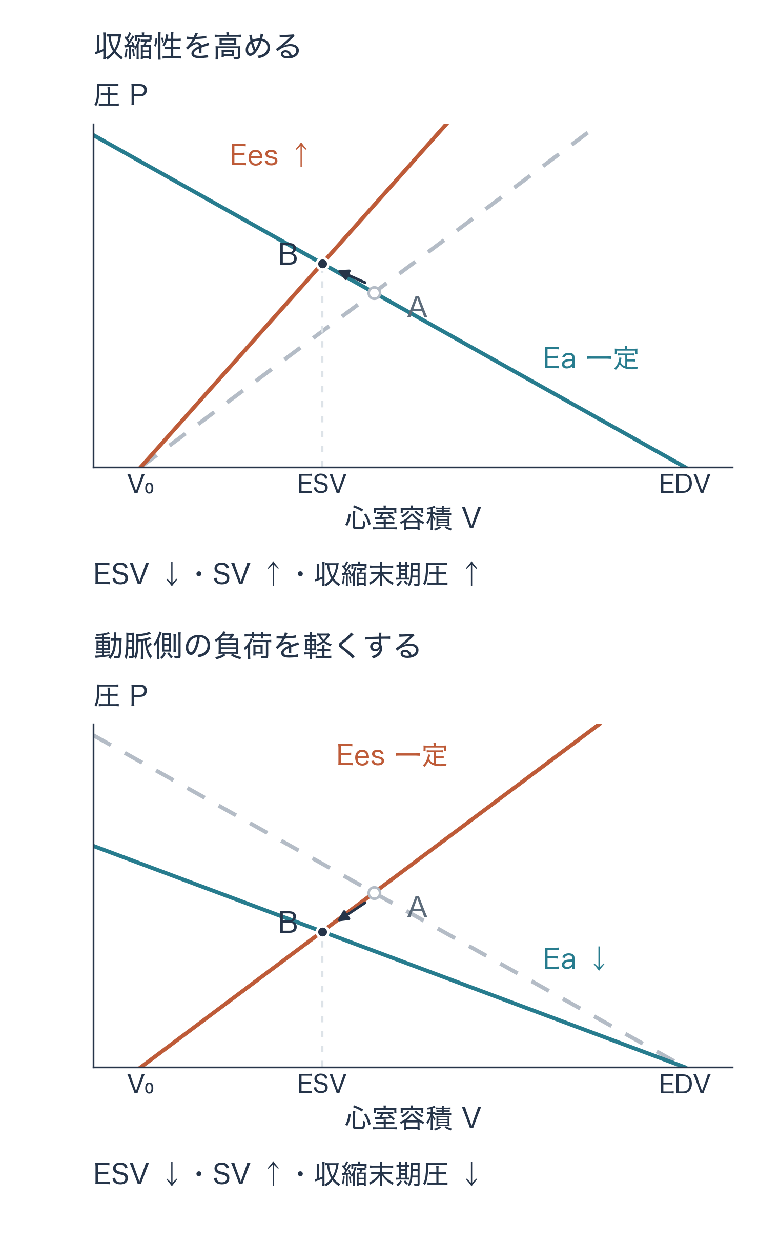 上段のEes上昇では交点が左上へ、下段のEa低下では左下へ移る。両者で変化後のESVは同じだが、収縮末期圧は異なる。