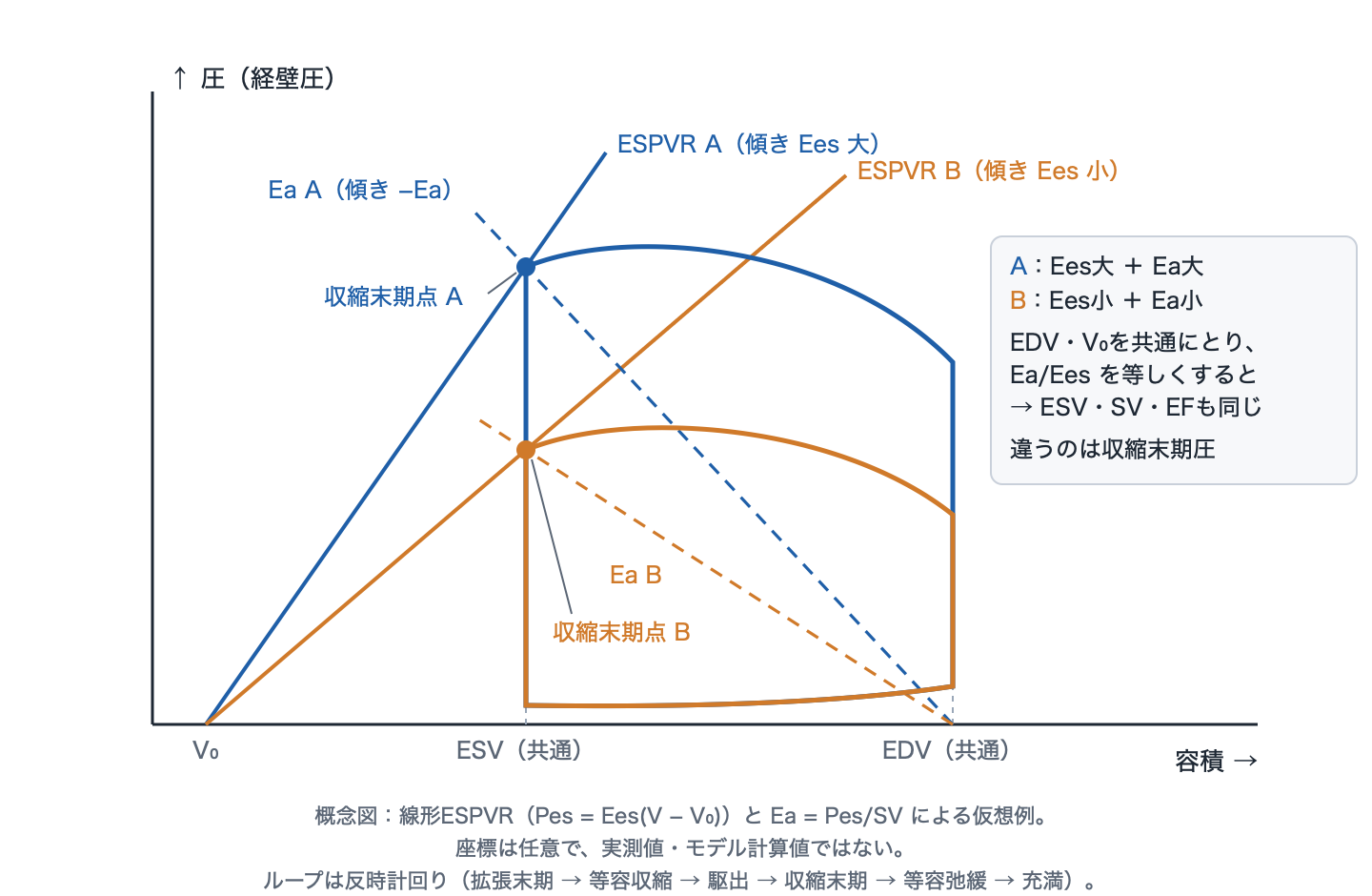 圧容積平面の概念図。V0から傾きの異なる2本のESPVRが延び、同じEDVの点から傾きの異なる2本のEa破線が左上へ延びる。それぞれの交点は同じ収縮末期容積の縦線上にあり、青のAの収縮末期点は高く、橙のBの点は低い。2つのループは幅が同じで高さが違う。